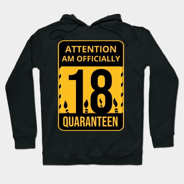 18th Birthday Officially a Quaranteen teenager 18 Years Old Hoodie by heidiki.png